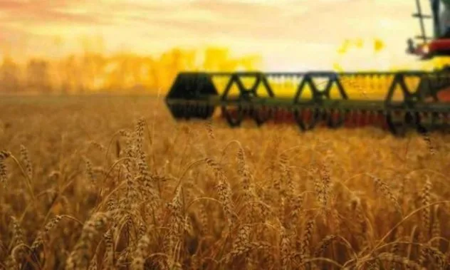 На Рівненщині розпочали збір ранніх зернових культур та ріпаку