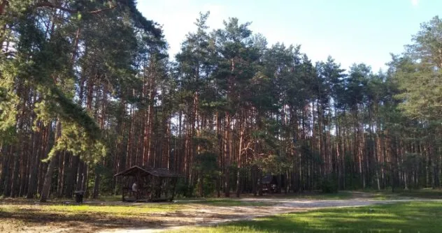 На Рівненщині проведуть “Паркові перегони”
