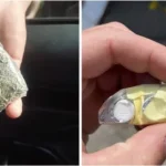 На Рівненщині затримали девʼять осіб з наркотиками