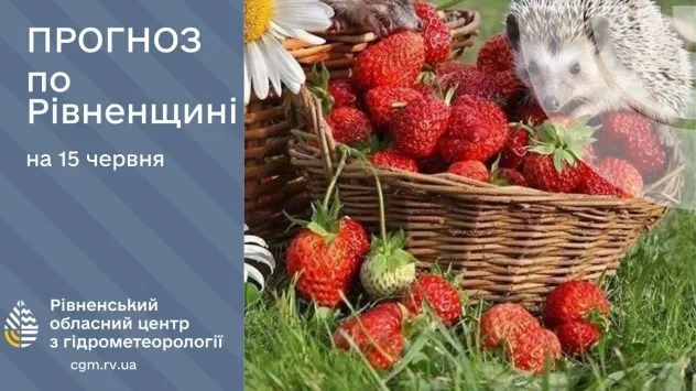 Прогноз погоди на Рівненщині: до +24 градусів у неділю