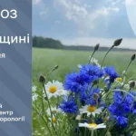 Прогноз погоди на Рівненщині: вночі температура до +9 градусів