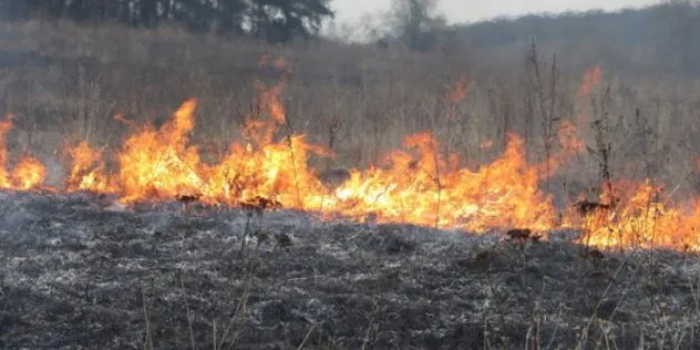 На Рівненщині з початку року зафіксовано понад 900 пожеж сухої трави