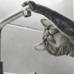 Три вулиці Рівного залишилися без водопостачання