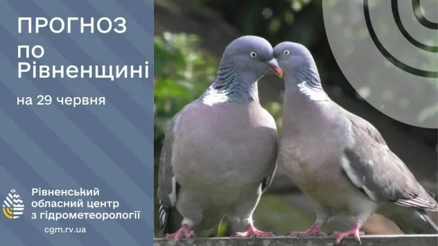 Прогноз погоди на Рівненщині: до +26 градусів у неділю