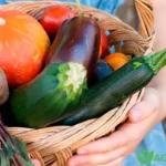 Два врожаї за літо: які культури садити і коли