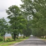 Прогноз погоди на Рівненщині: похолодання і вітряна погода