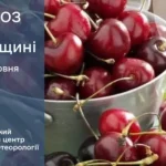Очікуються грози на Рівненщині: прогноз погоди на найближчі дні