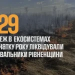 На Рівненщині з початку року сталося майже тисяча пожеж