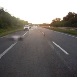 У Рівненському районі загинув чоловік, поліція встановлює його особу