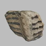 Зуби мамонта в 3D: знахідка військового з Рівненщини в електронному реєстрі