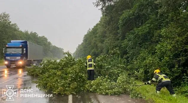 На Рівненщині повалене дерево заблокувало трасу Київ-Ковель-Ягодин