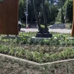 На пагорбі Слави у Рівному висадили понад тисячу нових квітів