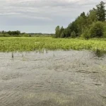 На Рівненщині підтоплено сільськогосподарські угіддя та житлові будинки