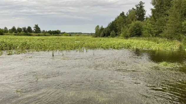На Рівненщині підтоплено сільськогосподарські угіддя та житлові будинки