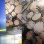 На Рівненщині виявили вантажівку з незаконно перевезеним лісом