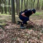 На Рівненщині знищили артснаряд, виявлений у лісі