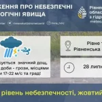 Вночі на Рівненщині прогнозують значний дощ та грози