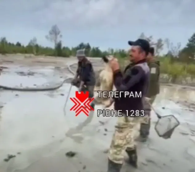 На Рівненщині бурштинокопачі жорстоко поводяться з собакою (ВІДЕО)