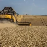 На Рівненщині розпочалися жнива: тисячі комбайнів на полях