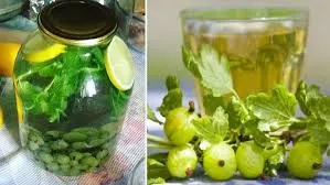 Як приготувати смачний компот з аґрусу: покроковий рецепт