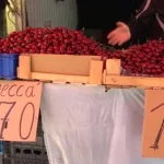 Ціни на дині та черешні на ринку Рівного