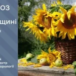 Грози та град: прогноз погоди на Рівненщині на тиждень