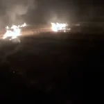 Рятувальники Рівненщини ліквідували чотири пожежі сухостою за добу