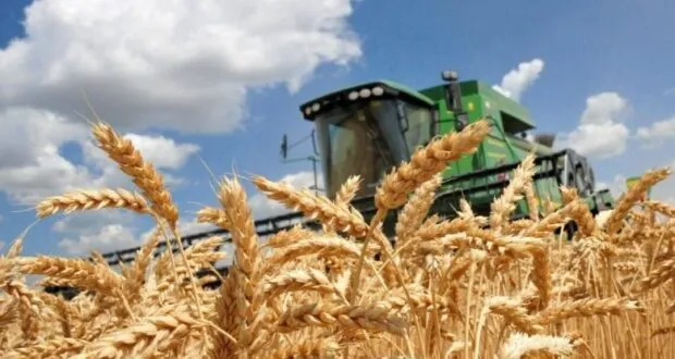 Завершення збору ранніх зернових культур аграріями Рівненщини