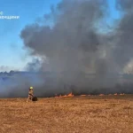 В Рівненській області сталася масштабна пожежа у полі