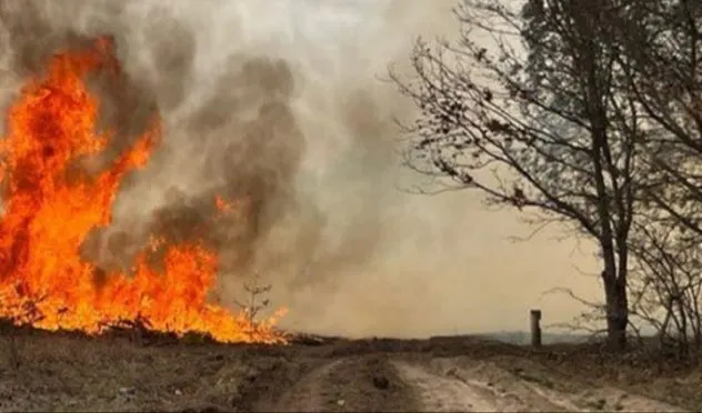 Лісові пожежі на Рівненщині та Волині через ворожі шахеди