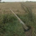 На Рівненщині з початку року зафіксовано понад 120 випадків пошкодження енергообладнання