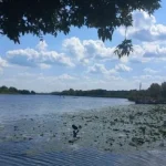Прогноз погоди: теплий та сонячний четвер у Рівному