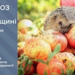 Прогноз погоди на 20 серпня: чи чекаємо дощі на Рівненщині?