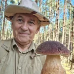 Грибник на Поліссі знайшов величезного боровика