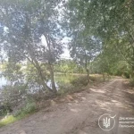 Штраф за шкоду деревам біля водойми у Здолбунові: деталі інциденту