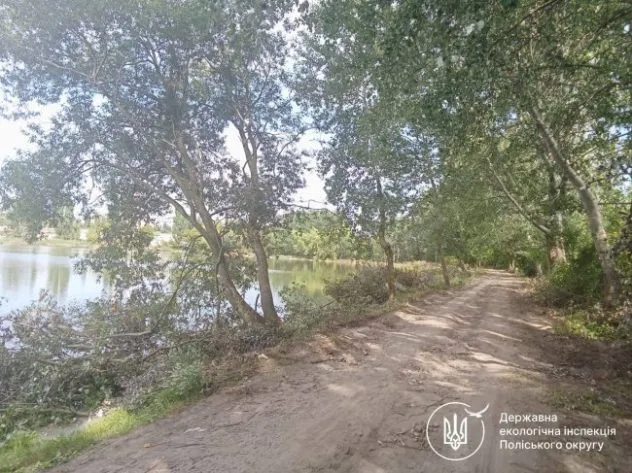 Штраф за шкоду деревам біля водойми у Здолбунові: деталі інциденту