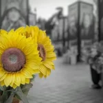 29 серпня — День пам’яті загиблих захисників України