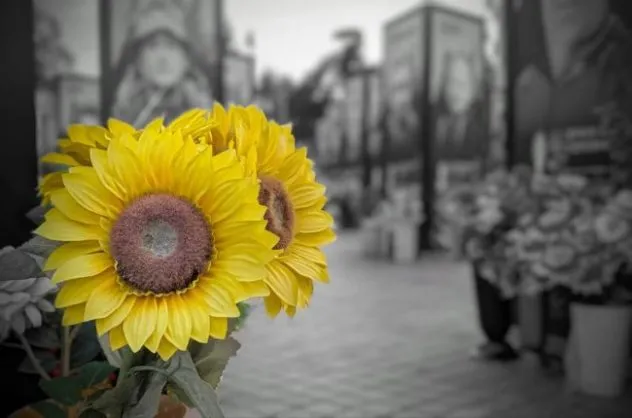 29 серпня — День пам’яті загиблих захисників України