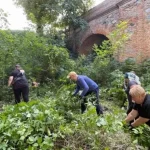 Корецький замок очищують від чагарників для туристів