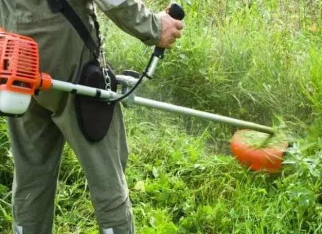 В Острозі камінь пошкодив автомобіль під час косіння трави