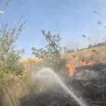 На Рівненщині за добу сталося п’ять пожеж на відкритих територіях
