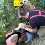 У Дубні рятувальники визволили дитину, застряглу у металевому паркані