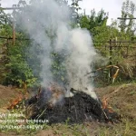 На Рівненщині виявили паліїв трави під час рейдів
