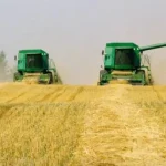 Аграрии Ровенщины собрали 66% гречки с рекордной урожайностью