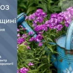 Weather Forecast for Thursday: Rivne Region Expects Dry Weather