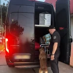 Контрабандист з Рівненщини намагався перевезти 230 пачок цигарок до Німеччини