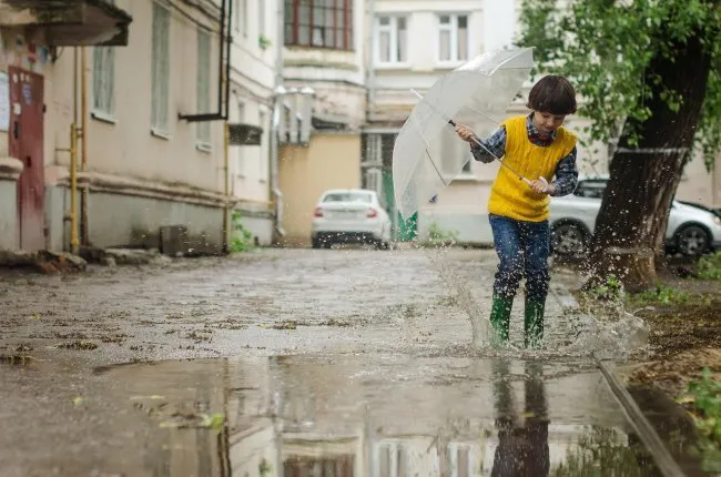 Rain and Fog Forecasted in Rivne Region for the Weekend