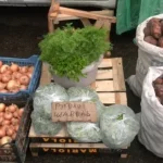 Ціни на картоплю, моркву та капусту на ринку Рівного