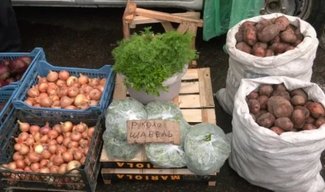 Prices of Potatoes, Carrots, and Cabbage at the Rivne Market