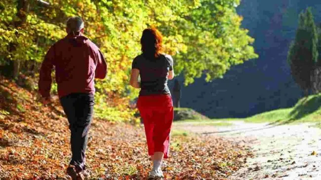 A Person’s Age is Determined Not by Wrinkles, but by the Condition of Their Blood Vessels